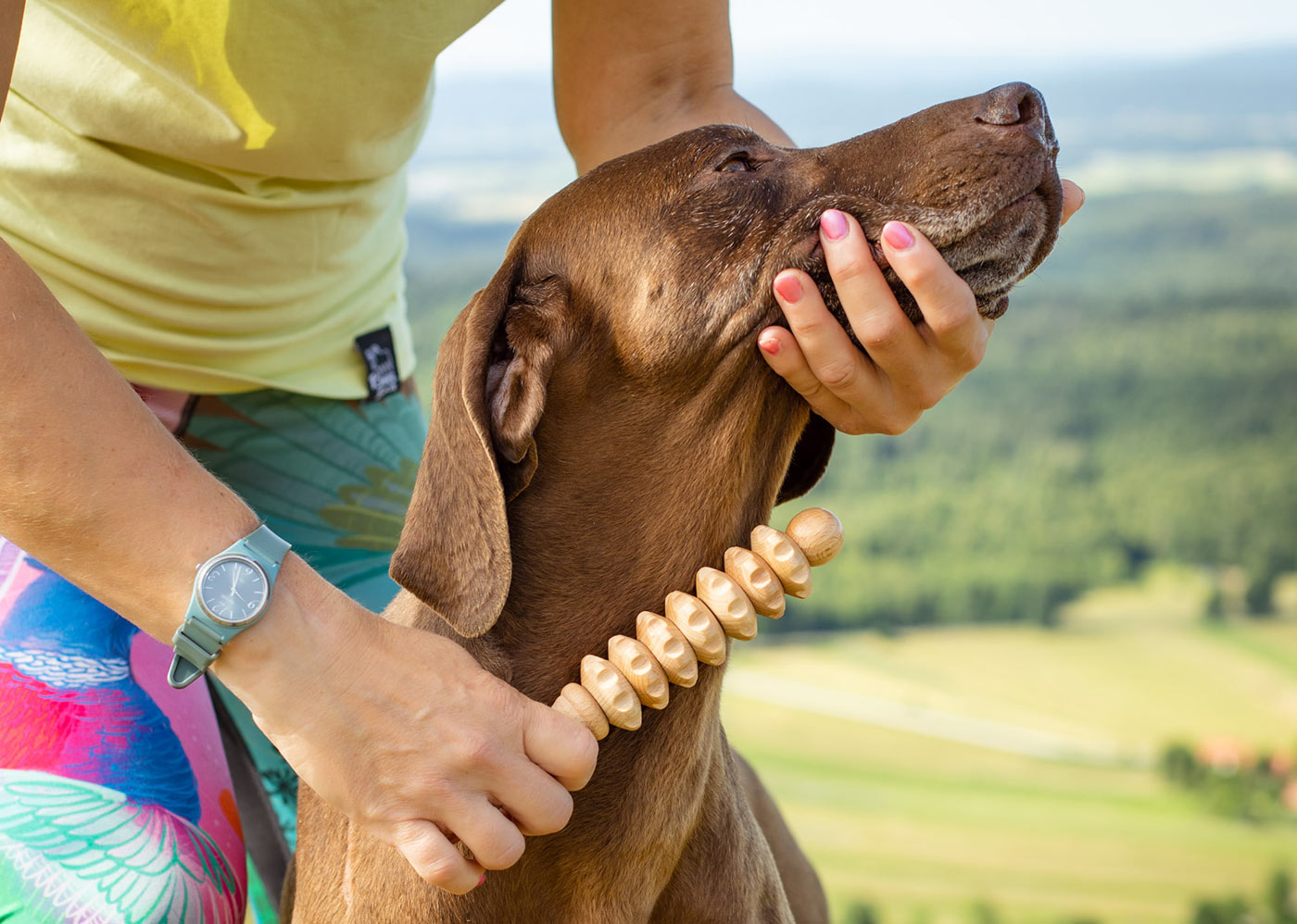 Benefits of Using Wooden Massage Tools for Dogs