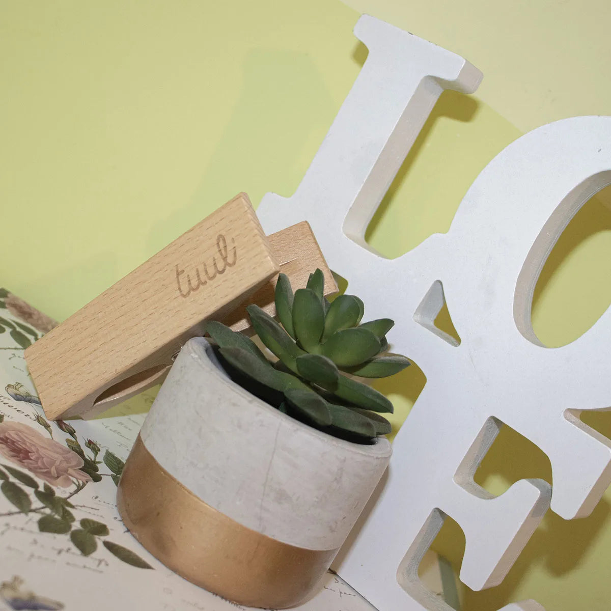 Eco-friendly wooden clips set showing natural grain and craftsmanship
