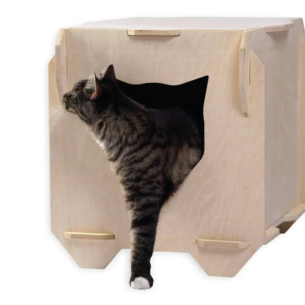 Comfortable Cat Bed