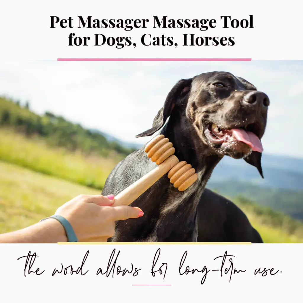Pet Stress Relief