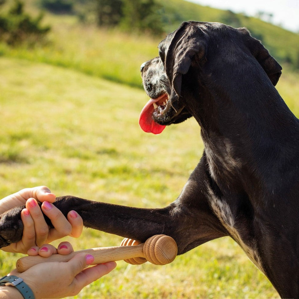Tuuli Pet Accessories