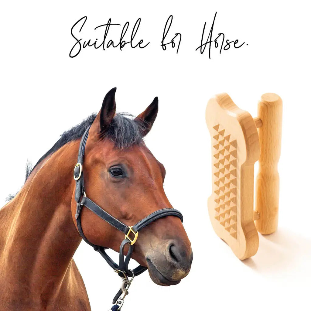 Durable Wooden Pet Brush - For Horse