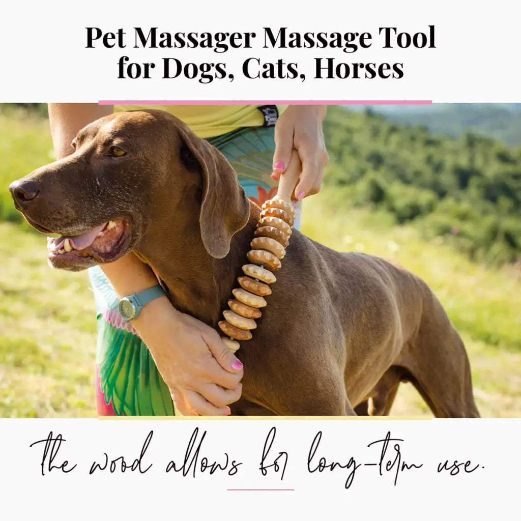 Animal Muscle Therapy Aid