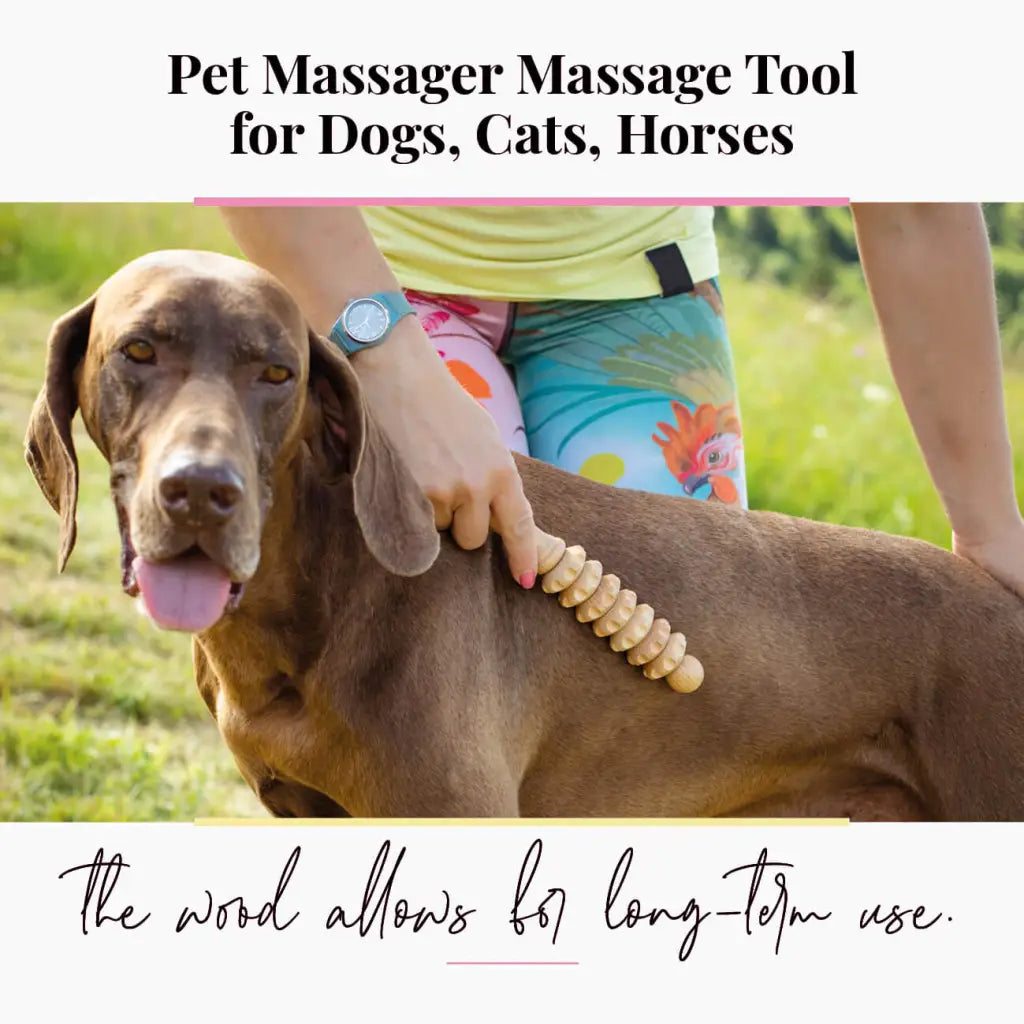 Pets Wellness Accessory