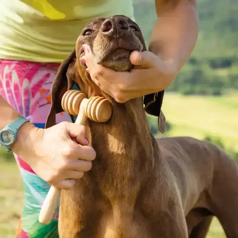 Pet Accessories Wooden Massagers